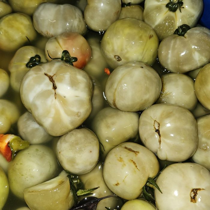 Квашені, бочкові, зелені помідори