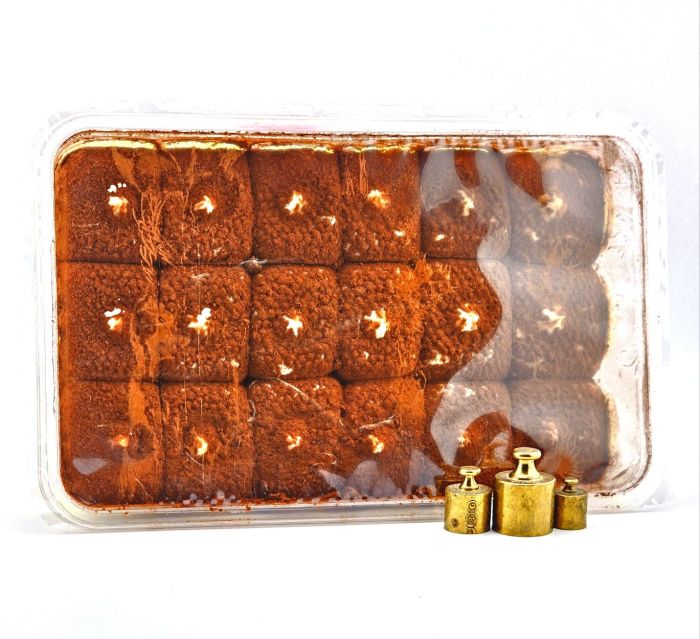 Десерт тірамісу Dolce Italia Tiramisu Classico 500 г