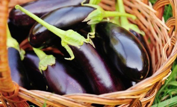 Баклажани 1кг